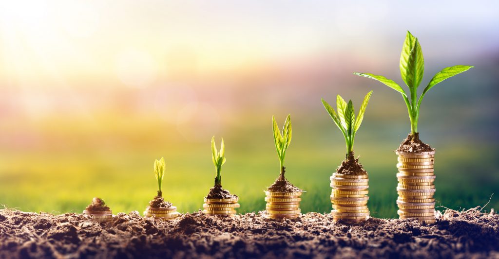 Economique | ATTILA Franchise