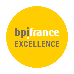LOGO BPI France, rapport d'excellence 2016